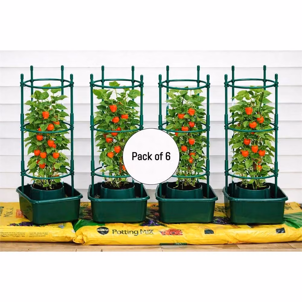Nordara Green Tomato Growbag with Trellis Planter – 2