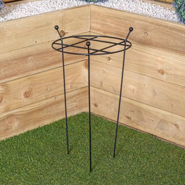 Samuel Alexander Tom Chambers Cottage Heavy Duty Black Metal Steel Herbaceous Garden Plant Support, W/D/H: 60 x 35 x 35 cm – 1