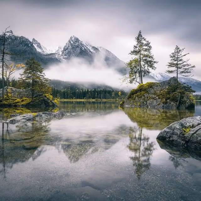 Foggy Day Grey Wall Mural Wall Art