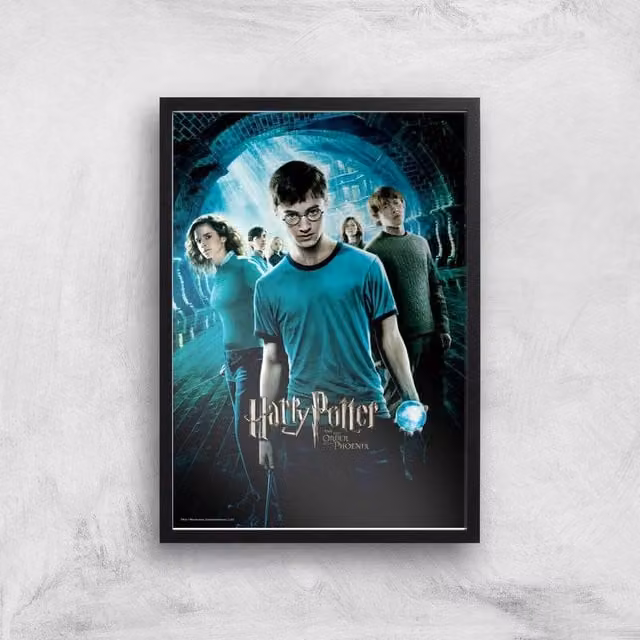 Harry Potter and the Order of the Phoenix Multicolour Giclee Art Print, A2 Size