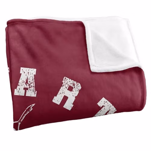 Warner Bros. Harry Potter Gryffindor Quidditch Super Soft Fleece Throw Blanket, Multicolour, W/H: 127.0 x 152.4 cm – 2