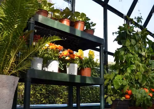 Palram Two Tier Green Greenhouse Staging, W/D/H: 79.7 x 39.8 x 85.1 cm – 3