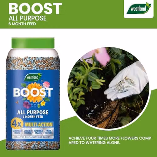 Westland Boost All Purpose Slow Release Plant Food, 750g – 3
