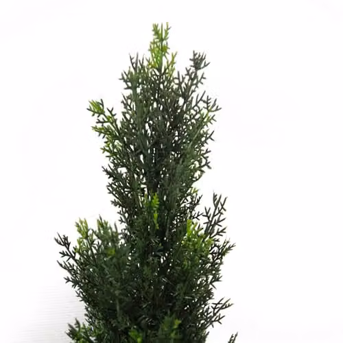 Leaf Artificial Topiary Tree Pair in Green, H 90 cm x W 25 cm x D 25 cm – 2