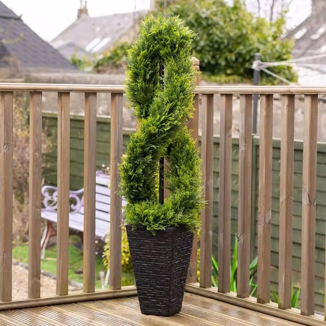 Scottish Everlastings Ltd 122 cm Twisted Cedar Topiary Tree in Green Square Pot