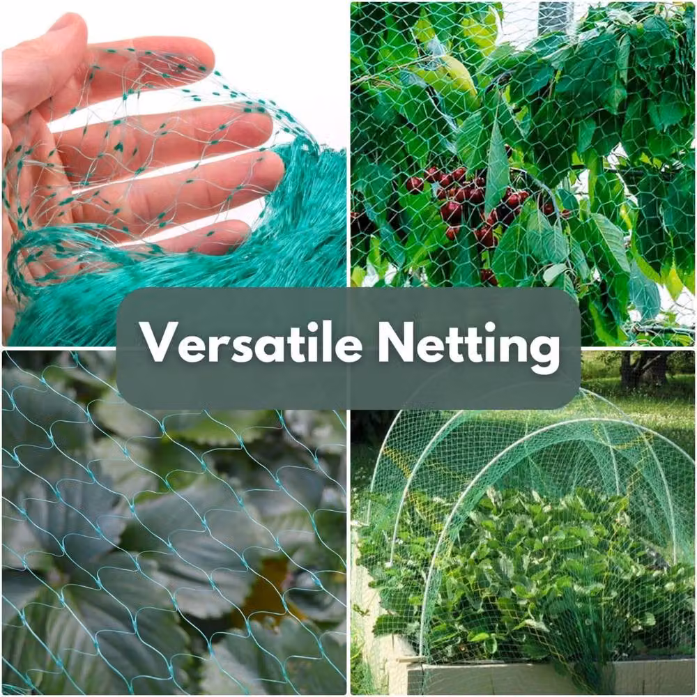 Marco Paul Heavy Duty PVC Bird Netting in Green, 2 Pack, W: 2 m, D: 10 m – 3