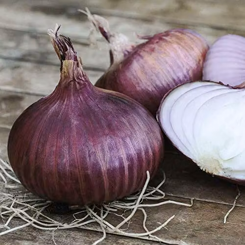 Thompson and Morgan Red Baron Onion Seeds, 175 Seeds