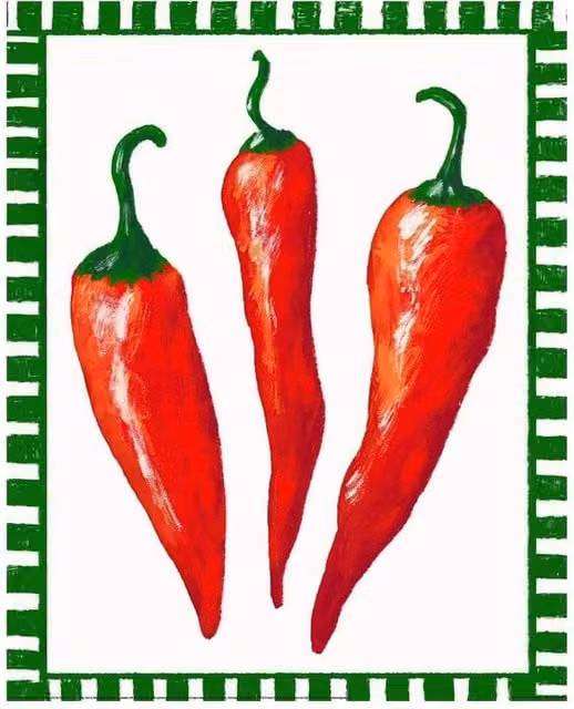 Studio Dolci Peperoncino Botanical Paper Poster in Light Red