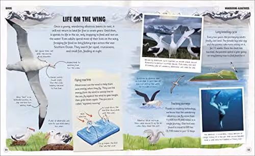 DK Amazing Earth Amazing Animal Journeys: The Most Incredible Migrations in the Natural World Multicolour Paper Book – 5