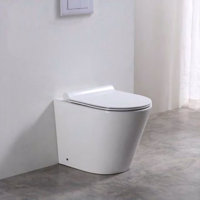 Limoge Baku White Ceramic Back-to-Wall Rimless Toilet with Soft-Close Seat, W/D/H: 42 x 37.5 x 54.5 cm
