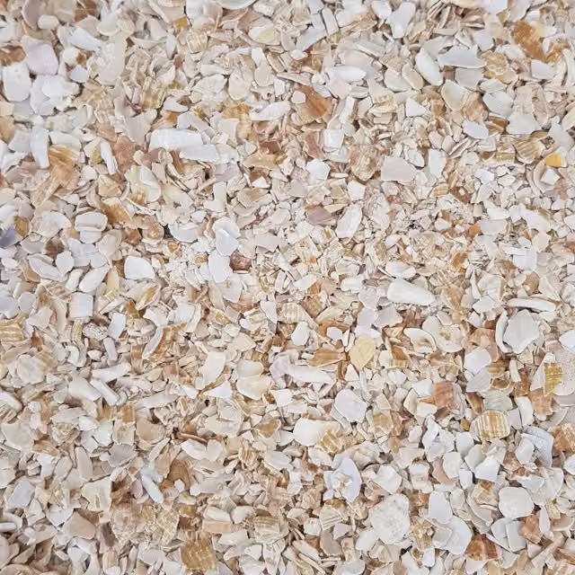 Simpa Beige Seashell Chippings 7kg Bag (5-20mm) – 1