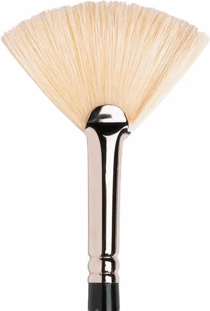 Winsor and Newton Winton Fan Hog Brush No. 8 Multicolour