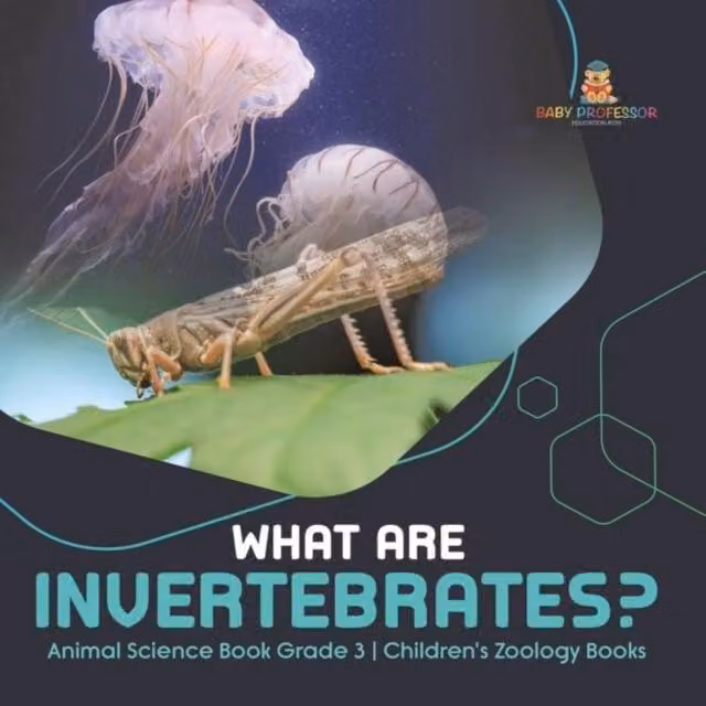Baby Professor What Are Invertebrates? Animal Science Book for Grade 3 Children, White and Multicolour