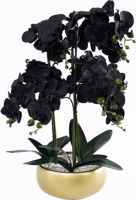 Leaf Design UK Realistic Artificial Orchid Flower Display in a Green, Black and Gold Ceramic Planter, Height: 60 cm, Width: 40 cm, Depth: 40 cm – 6