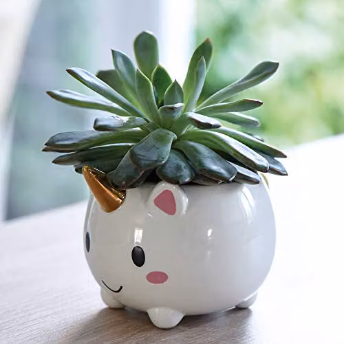 Thompson and Morgan White Ceramic Unicorn Planter – 2