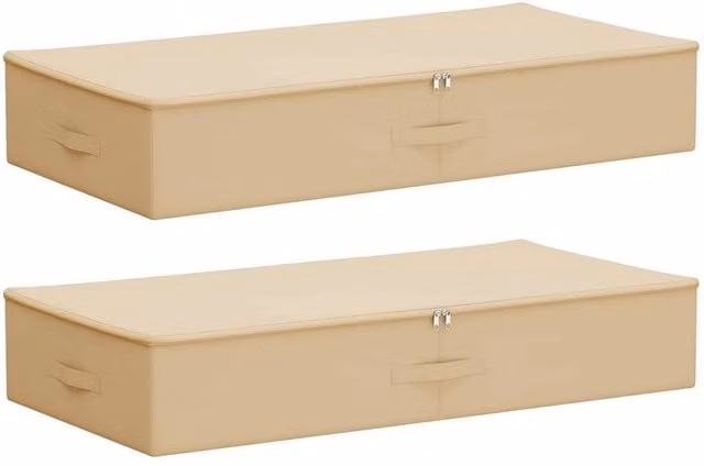 FORGEVIO Set of 2 Foldable Non-woven Fabric Storage Boxes with Handles, Beige, W: 50 cm