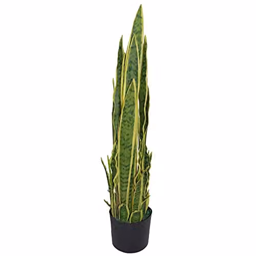 Leaf Design Yellow and Green Artificial Sansevieria Potted Indoor Plant, Height: 55 cm – 1