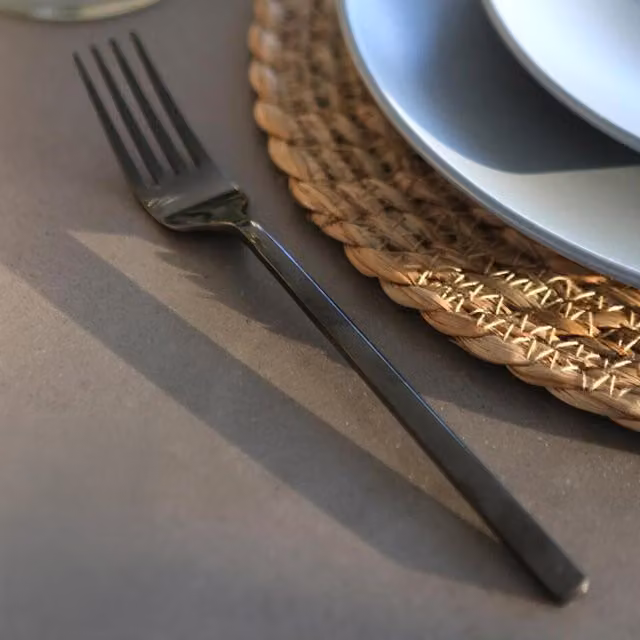 Argon Tableware Black Coated Stainless Steel Dinner Forks, Set of 12