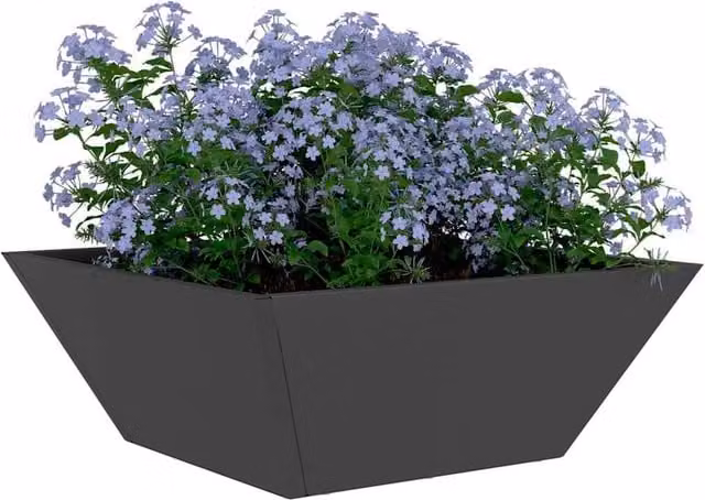 Berkfield Home Modern Garden Bowl Planter in Black Steel, W/D/H: 40 x 40 x 15 cm