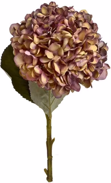 Hill Interiors Artificial Autumn Hydrangea in Brown, H 42 cm x W 18 cm x D 18 cm – 1