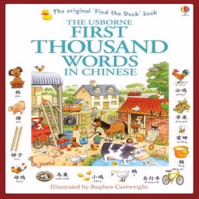 Usborne First Thousand Words in Chinese Multicolour Paperback Book