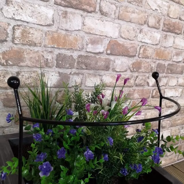 Tom Chambers Cottage Black Steel Herbaceous Garden Plant Support Arc, H 60 cm x W 36 cm x D 36 cm