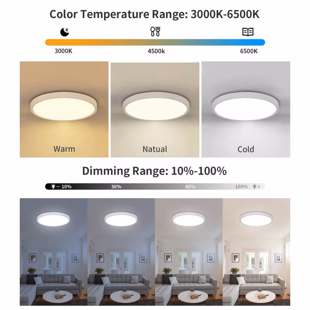 Pheashine White Round RGB LED Ceiling Light, 24W Dimmable with Remote, Diameter: 30 cm, Height: 2.5 cm – 2