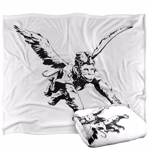 Warner Bros. The Wizard of Oz Silky Touch Super Soft Fleece Throw Blanket, Multicolour, W: 127.0 cm x H: 152.4 cm