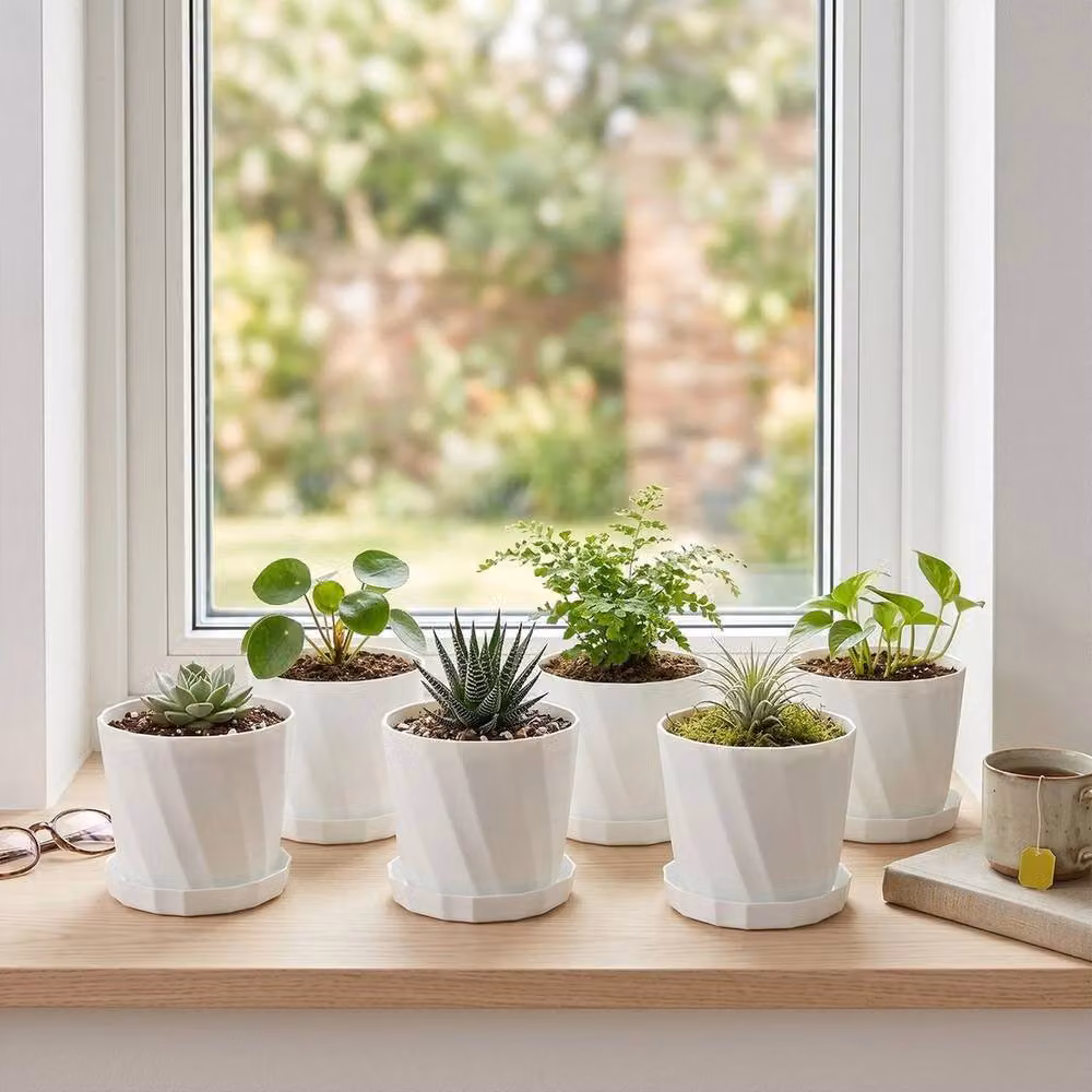 SPETLEK Set of 6 Thickened Resin Flowerpots in White – 2