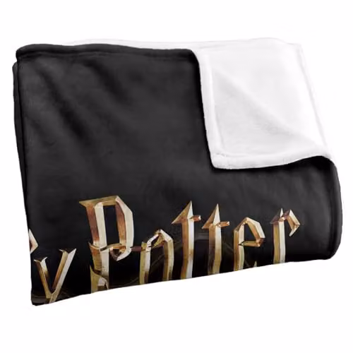 Warner Bros. Harry Potter Drawn Style Group Super Soft Fleece Throw Blanket, Multicolour, W: 91.44 cm x L: 147 cm – 2