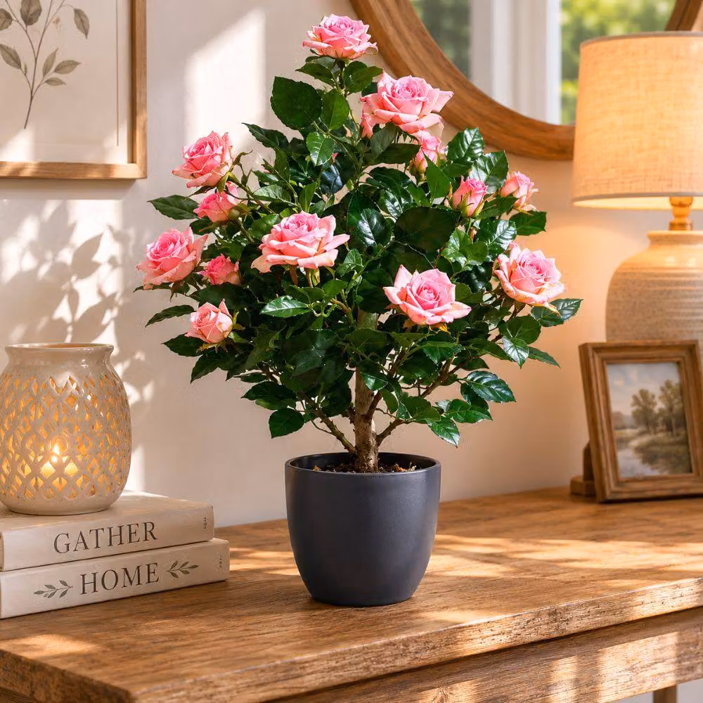 Marco Paul Pink Artificial Rose Potted Plant, Height: 60 cm – 3