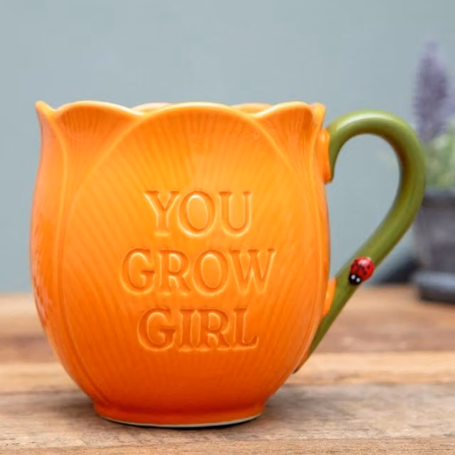 Boxer Gifts You Grow Tulip Flower Mug in Orange, Yellow and Multicolour Ceramic Floral Coffee Cup