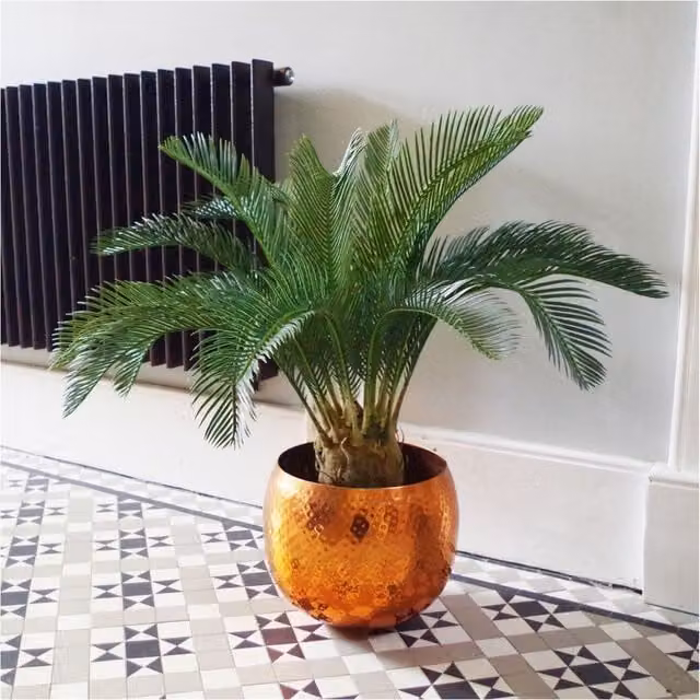 Dyzi 80 cm Green Artificial Cycas Tree