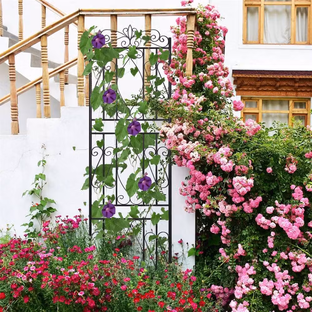 FLAVORA 2 Pack Metal Plant Trellis Support in Black, H 182 cm x W 50 cm – 4
