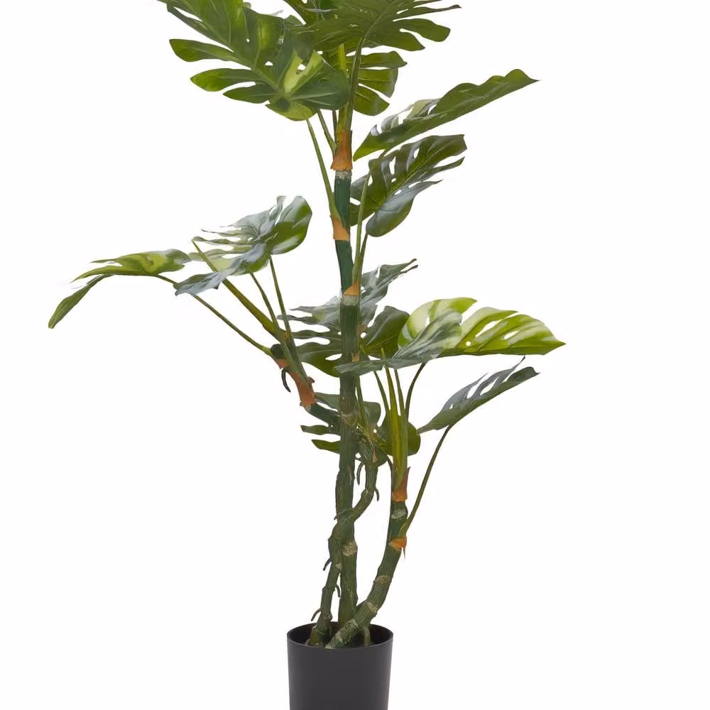 Wyld and Coco 135 cm Artificial Monstera Plant in Green with Black Concrete Pot – 2