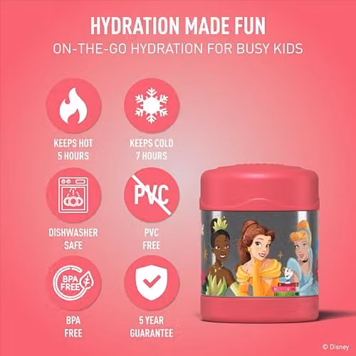 Thermos FUNtainer Disney Princesses Stainless Steel Food Flask, Multicolour, 290ml – 3