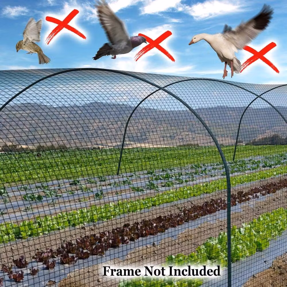 Spetlek Heavy Duty Black Garden Netting for Birds and Pigeons, 2 m x 15 m – 4
