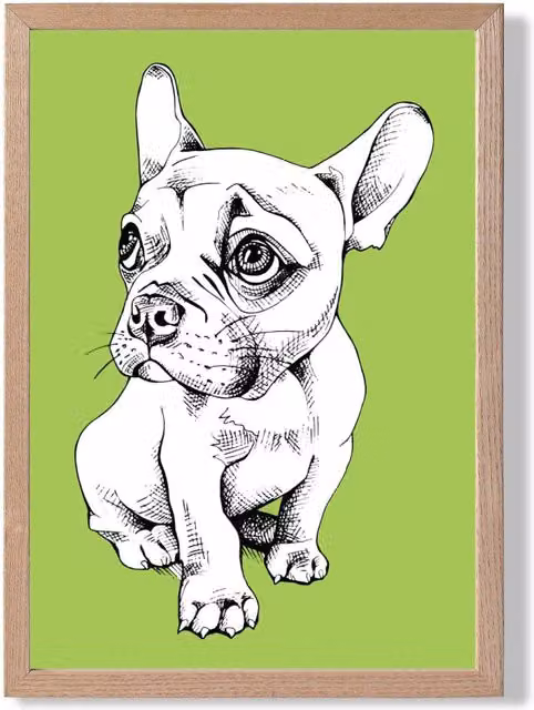 ARTZE Sketch French Bulldog Framed Print on Bright Green with Oak Frame, A3