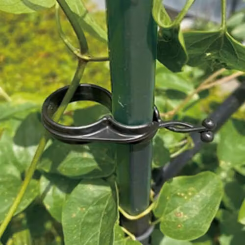 Garden Gear Easy Twist Plant Support Clips, Black Plastic, Pack of 50 – 4