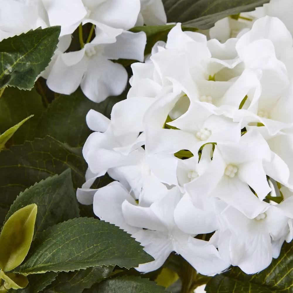 Wyld Haus Artificial White Hydrangea in a White Ceramic Pot – 2