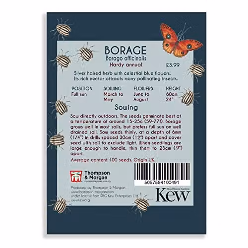 Thompson and Morgan Borage Kew Pollination Collection Blue Borago officinalis Hardy Annual Wildflower Seeds (Approx. 100 Seeds) – 3