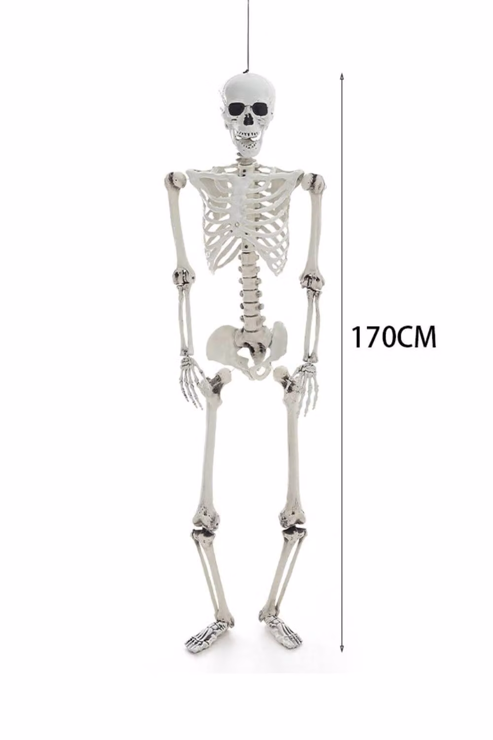 ExtraStar White Hanging Full Body Skeleton Decoration with Posable Joints for Halloween Parties – 2