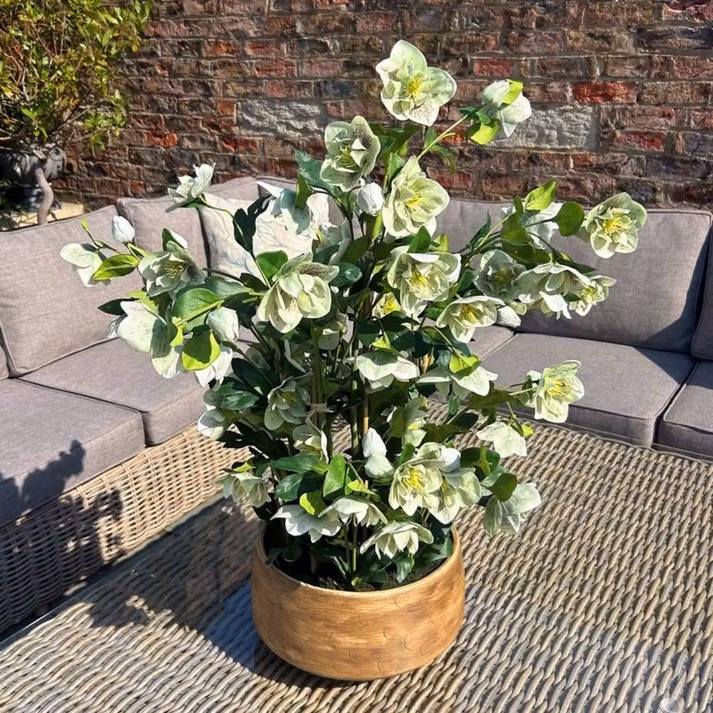 Lemon Pavilion Furniture and Decor Large Potted Hellebore in Green and Taupe, W52 x D52 x H85 cm – 2