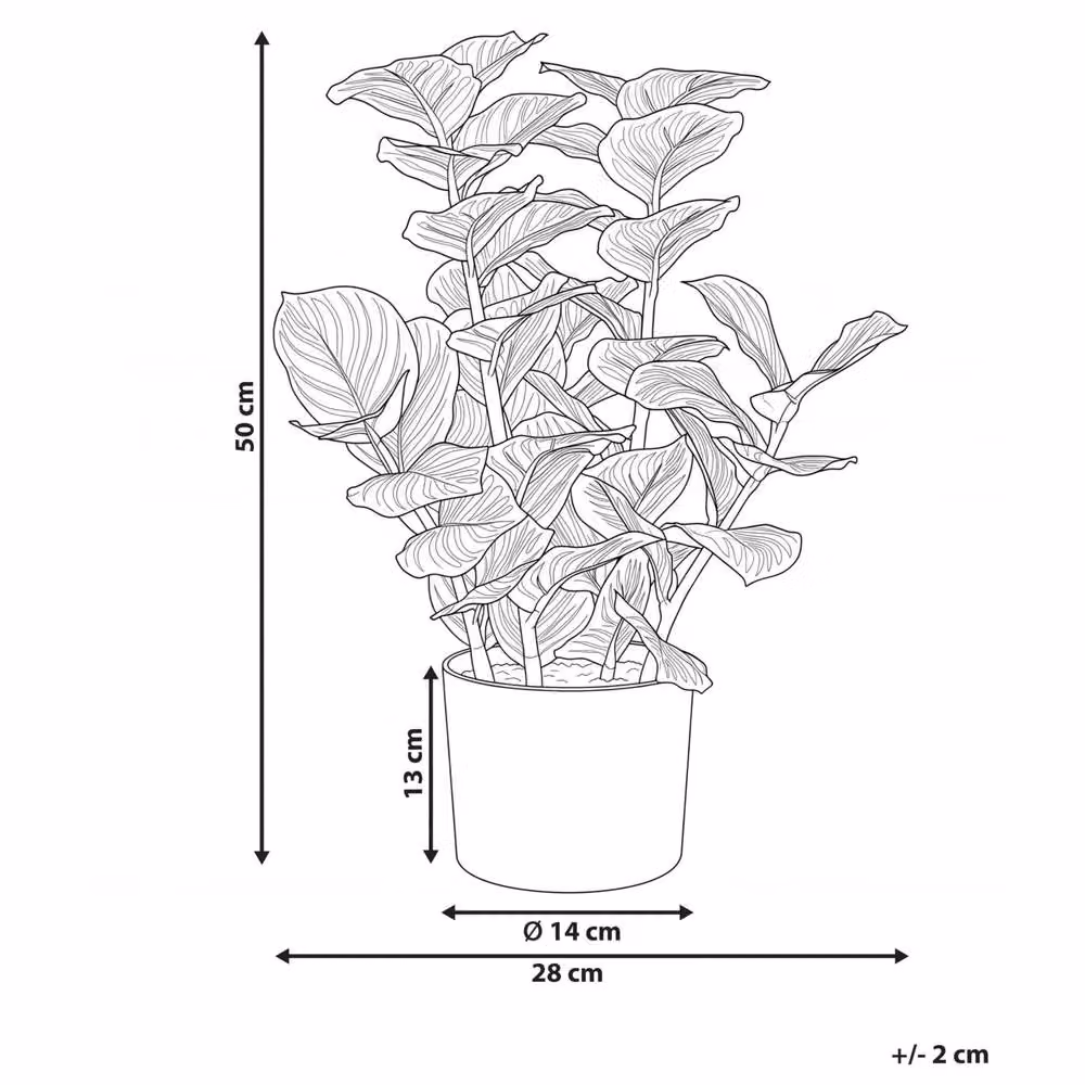 Wyld and Coco Green Realistic Artificial Potted Tabletop Plant, Height: 50 cm – 3