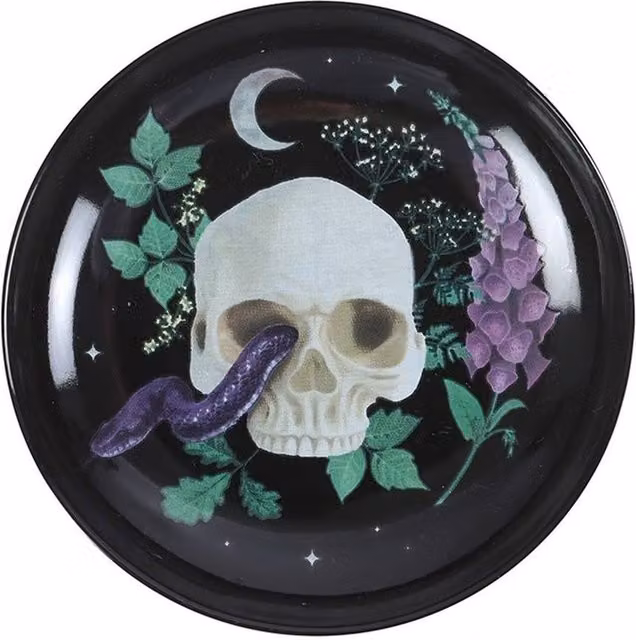 Uniqueful Venom and Vines Skull Trinket Dish in Black