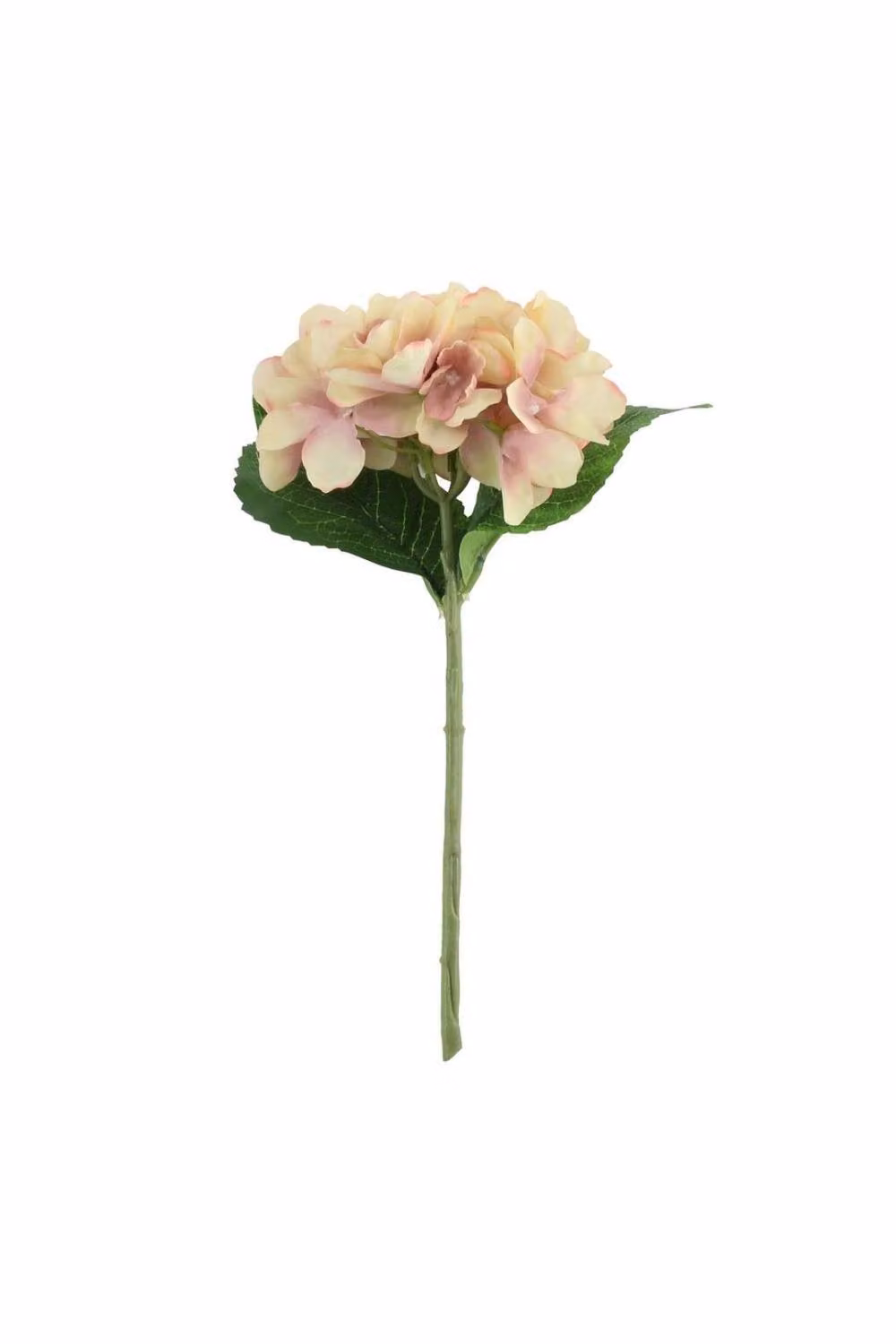 KDMD Pink Arundel Hydrangea 4 Pack – 2