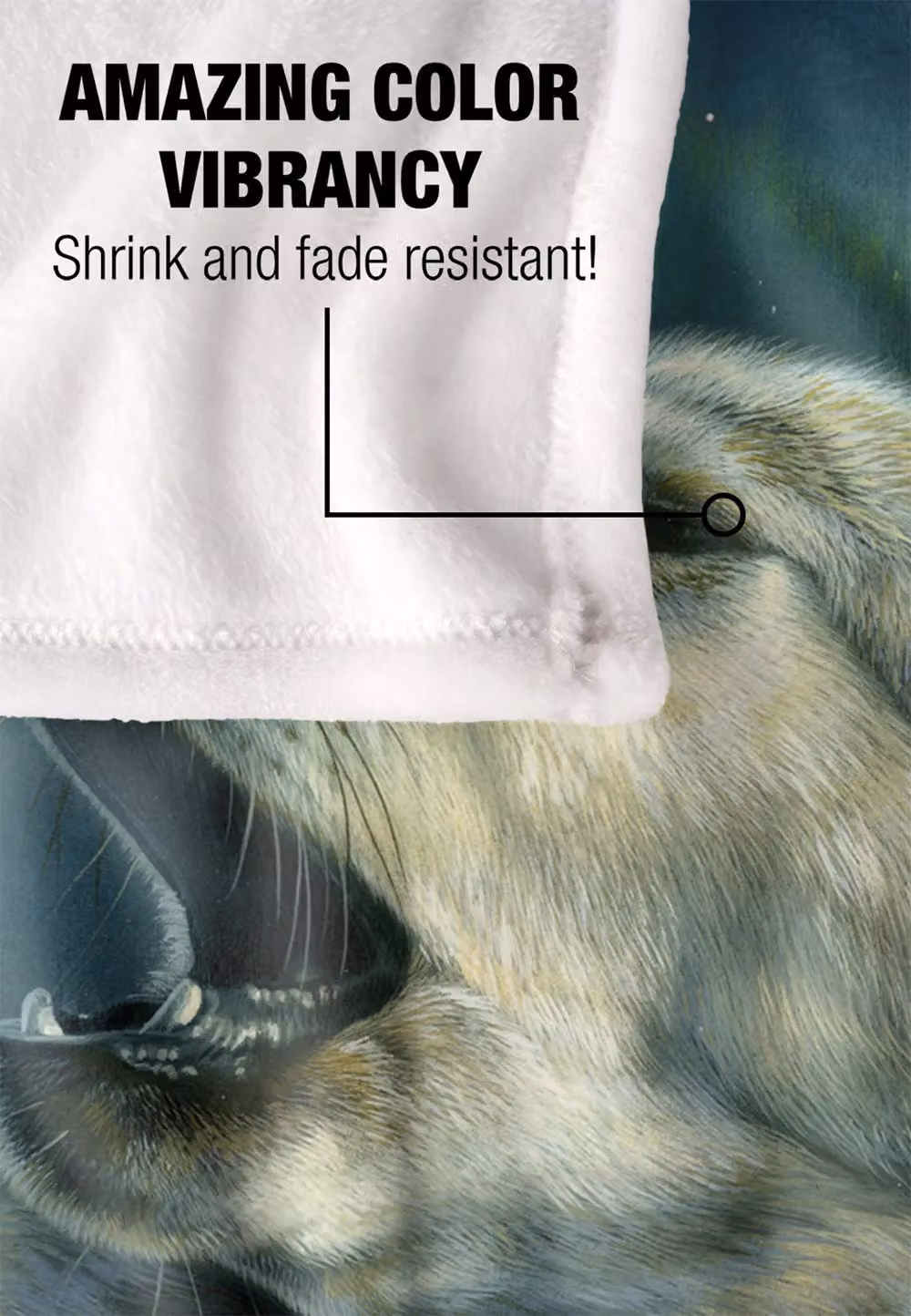 JQ Licensing Howling Wolf Aurora Silky Touch Super Soft Fleece Throw Blanket, White, W/D/H: 152 x 127 cm – 4