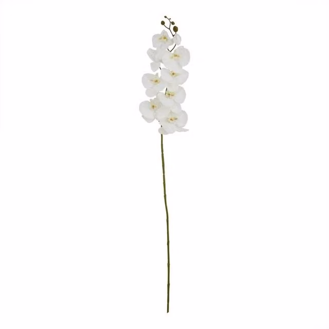 Lemon Pavilion White Artificial Butterfly Orchid Single Stem, W11 x D11 x H103 cm