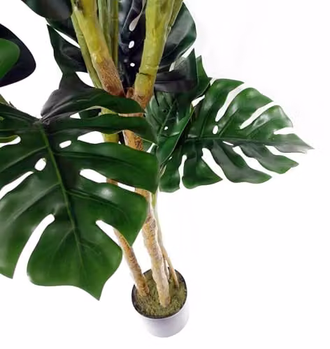 Botanik UK Premium Green Artificial Monstera Plant, Height: 150 cm – 3