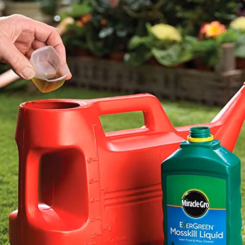 Miracle-Gro EverGreen Mosskill Liquid Concentrate Lawn Food and Moss Control for 66 m2 – 5